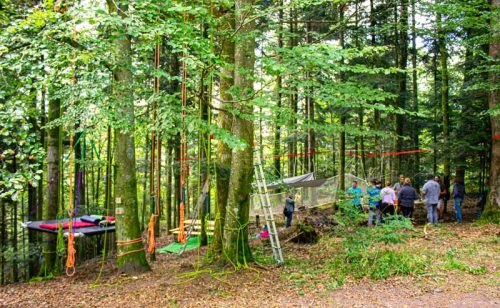 Activité de grimpe d'arbres en pleine forêt