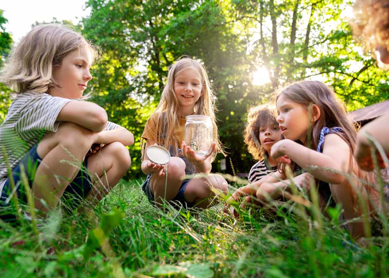 Enfants qui découvrent la nature , éducation en environnement