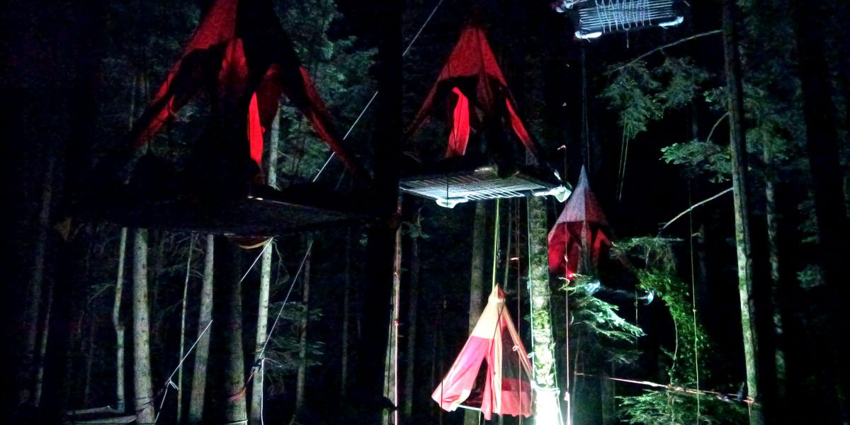 quatre tentes suspendu dans les arbres de nuit