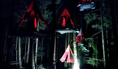 quatre tentes suspendu dans les arbres de nuit