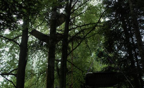 grimpe d'arbres en pleine forêt