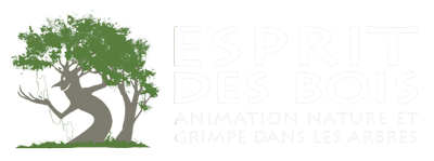 Esprit des Bois