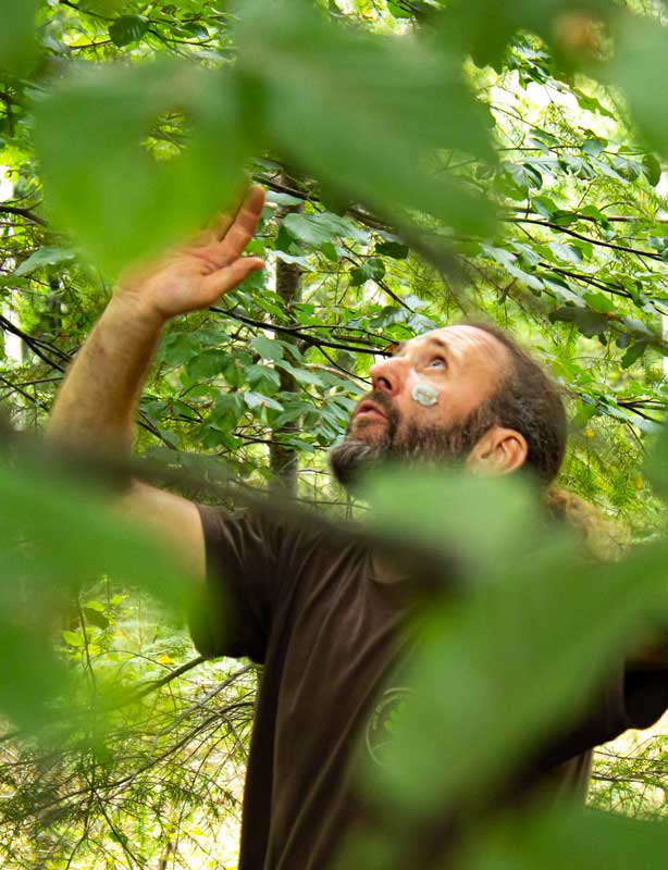 Christophe Mayer éducateur grimpe d'arbres