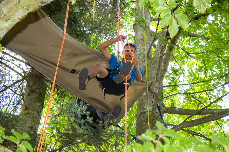 un homme qui fait de la grimpe d'arbre